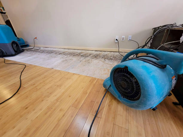 Professional Basement Flood Cleanup technician working in Brusly, LA